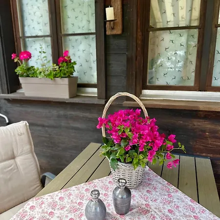 Chalet-simmi Wimmis