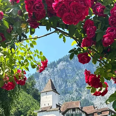 度假居 Chalet-simmi Wimmis