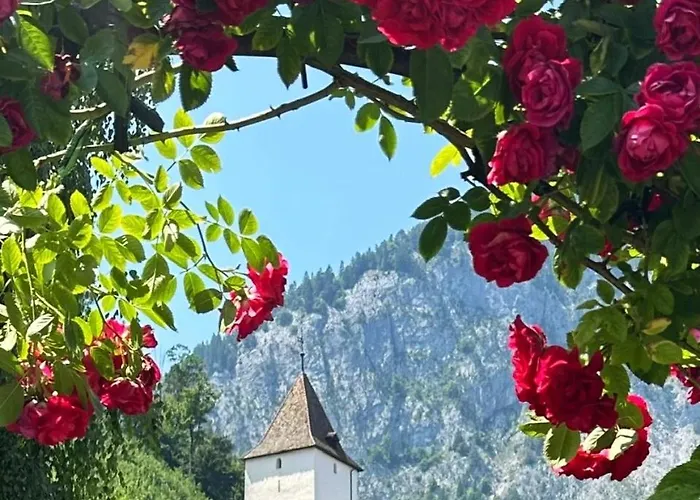 Prázdninový dům Chalet-simmi Wimmis