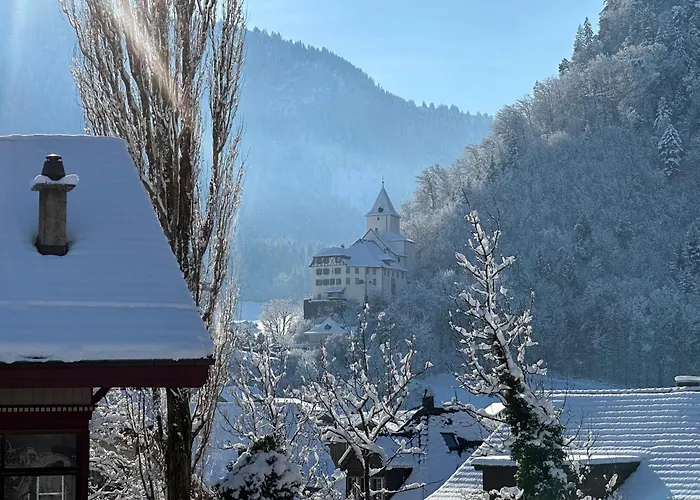 Chalet-simmi Prázdninový dům Wimmis